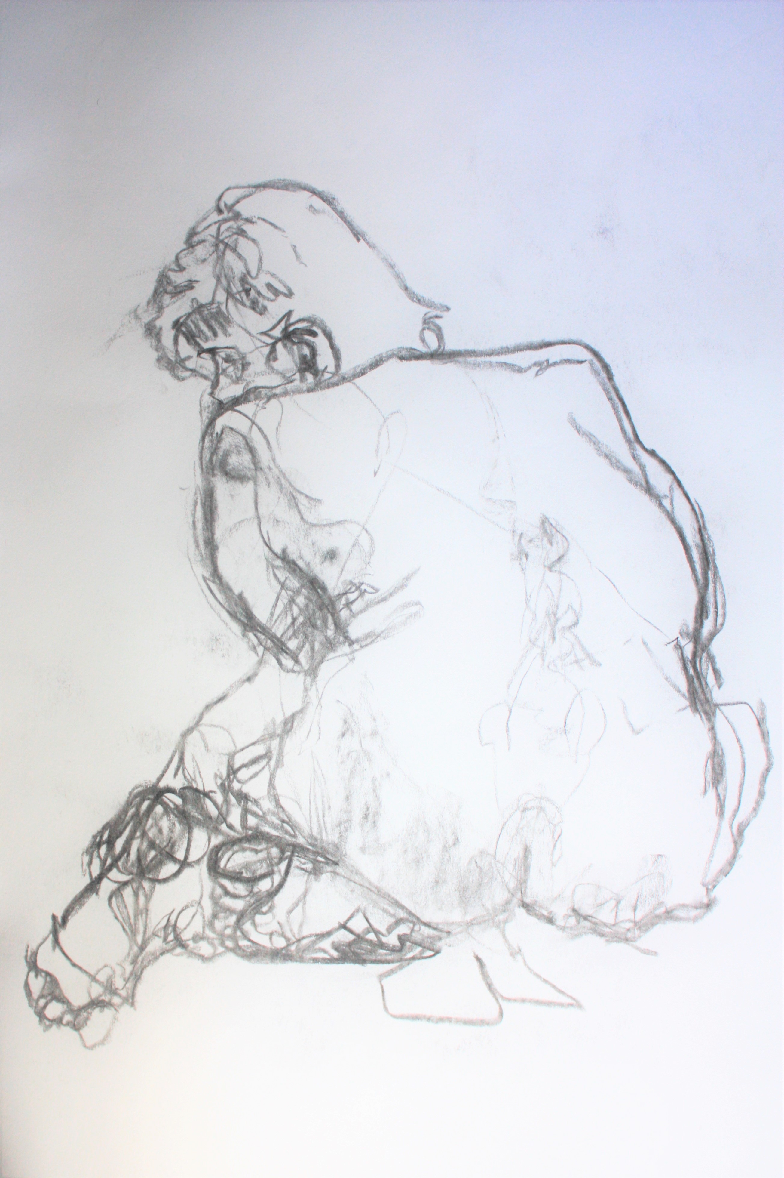 Life Drawing Various Sketches Tolbiny